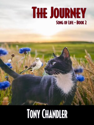 cover image of The Journey (Song of Life--Book 2)